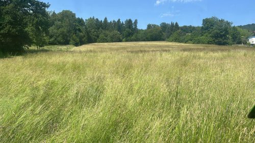 6130678E-14BD-4303-8C3C-F20D646C523B