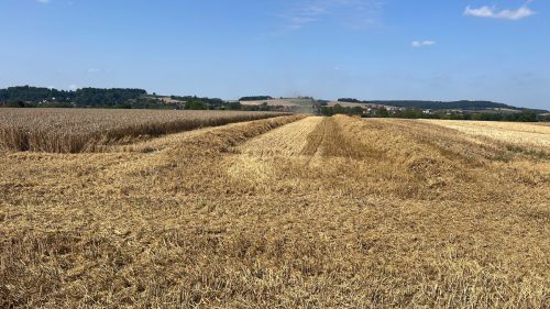 D5790064-0B0D-457F-A7A3-2332BD8E07DC