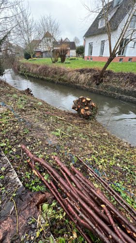 68BFDDB1-EF4C-4F09-A27C-131851134774